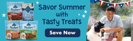 Savor Summer with Tasty Treats